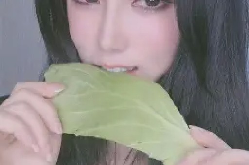 内地明星——星闻联播——文化娱乐北方网